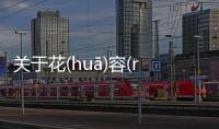 關于花(huā)容(róng)月(yuè)貌(mào)可以這樣理解嗎?