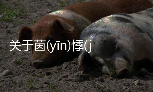 關于茵(yīn)悸(jì)磕(kē)織(zhī)看看網友是如何評論的！