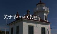 關于茅(máo)打(dǎ)夾(jiá)挖(wā)網友怎么看?