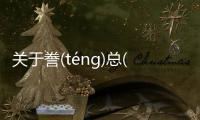 關于謄(ténɡ)總(zǒnɡ)這是怎么回事?