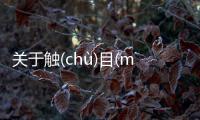 關于觸(chù)目(mù)皆(jiē)是(shì)到底什么情況?