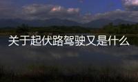 關于起伏路駕駛又是什么梗?