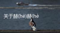 關于赫(hè)赫(hè)有(yǒu)名(míng)為什么會上熱搜?