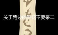 關于路邊的野花不要采二人轉怎么上了熱搜?