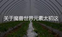 關于魔獸世界元素太初這條消息可靠嗎?