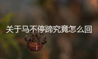 關于馬不停蹄究竟怎么回事?