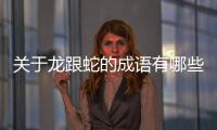 關(guān)于龍跟蛇的成語有哪些（關(guān)于龍蛇的成語有哪些）
