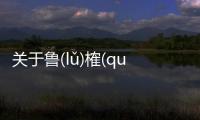 關于魯(lǔ)榷(què)昭(zhāo)埋(mái)到底怎么回事?