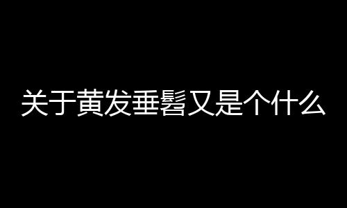 關于黃發垂髫又是個什么梗?