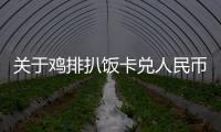 關于雞排扒飯卡兌人民幣匯率的信息