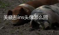 關(guān)曉彤ins頭像怎么回事？關(guān)曉彤為什么換頭像原因揭秘