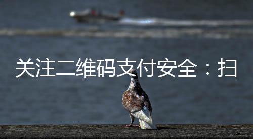 關注二維碼支付安全：掃一掃，錢包怎樣保護好