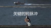 關(guān)鍵的短脈沖