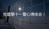 黨章第十一章心得體會(huì)（黨章第十一章）