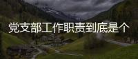 黨支部工作職責到底是個什么梗?