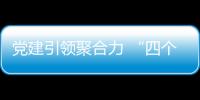 黨建引領聚合力 “四個堅持”筑新基_