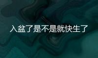 入盆了是不是就快生了