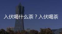 入伏喝什么茶？入伏喝茶的好處