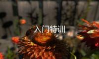 入門特訓