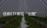 債券ETF表現“出圈”市場有待進一步擴容