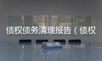 債權(quán)債務(wù)清理報(bào)告（債權(quán)債務(wù)清理）