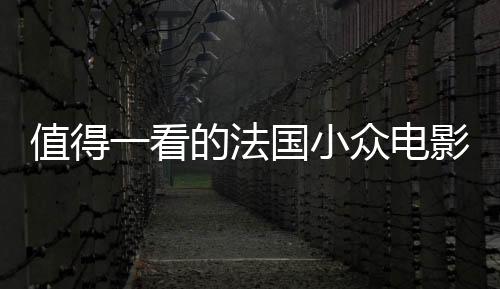 值得一看的法國小眾電影