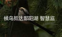 候鳥(niǎo)抵達(dá)鄱陽(yáng)湖 智慧監(jiān)測(cè)提供科學(xué)保護(hù)