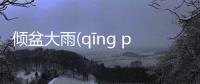 傾盆大雨(qīng pén dà yǔ)終于真相了?