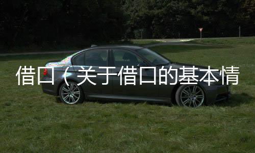 借口（關于借口的基本情況說明介紹）