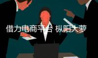 借力電商平臺 樅陽大蘿卜賣得俏