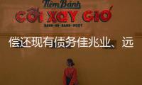 償還現(xiàn)有債務(wù)佳兆業(yè)、遠洋將發(fā)行合計9億美元票據(jù)