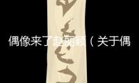 偶像來了趙麗穎（關于偶像來了趙麗穎的基本情況說明介紹）