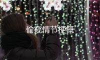 偷窺情節梗概