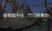 偷偷藏不住，竹已所著的小說