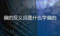 偏的反義詞是什么字偏的反義詞是什么