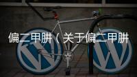 偏二甲肼（關(guān)于偏二甲肼的基本情況說明介紹）
