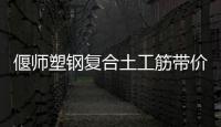 偃師塑鋼復(fù)合土工筋帶價格