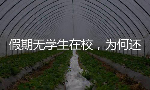 假期無學生在校，為何還安排教師值班？媒體：這是一種形式主義
