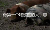 做第一個吃螃蟹的人，惠科擬建全球首條8.6代OLED線？