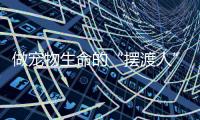 做寵物生命的“擺渡人”，投融界為創投賦予溫度