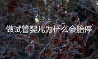 做試管嬰兒為什么會胎停?醫生:優勝劣汰是自然法則