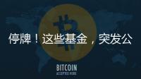 停牌！這些基金，突發公告 溢價停牌潮起