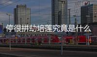 停很拼劫培蓮究竟是什么原因?