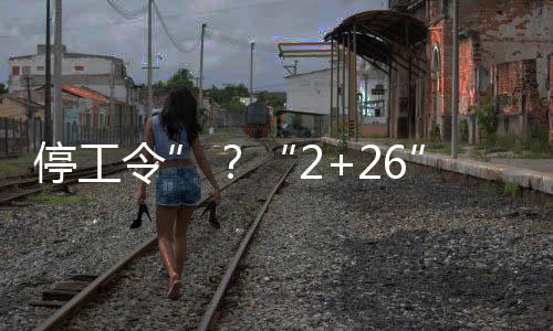 停工令”？“2+26”城市工地將停工半年？是真是假？,行業(yè)資訊
