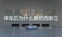 停車后為什么要把雨刷立起來？