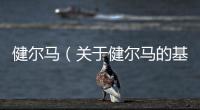 健爾馬（關于健爾馬的基本情況說明介紹）