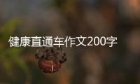 健康直通車作文200字以及健康直通車健康知識的情況分析