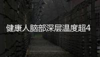 健康人腦部深層溫度超40℃