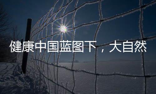 健康中國藍(lán)圖下，大自然地板零醛智造守護(hù)健康家