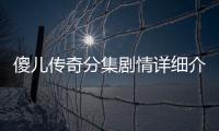 傻兒傳奇分集劇情詳細介紹(1